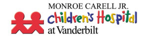 VCH_Logo